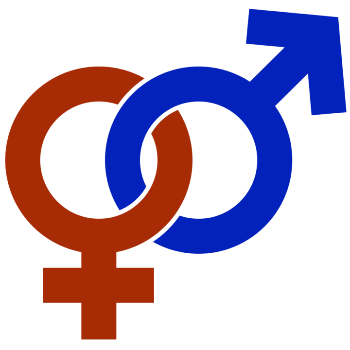 The Law Of Polarity And Gender